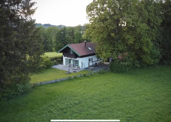 Flying Roots Wackersberg